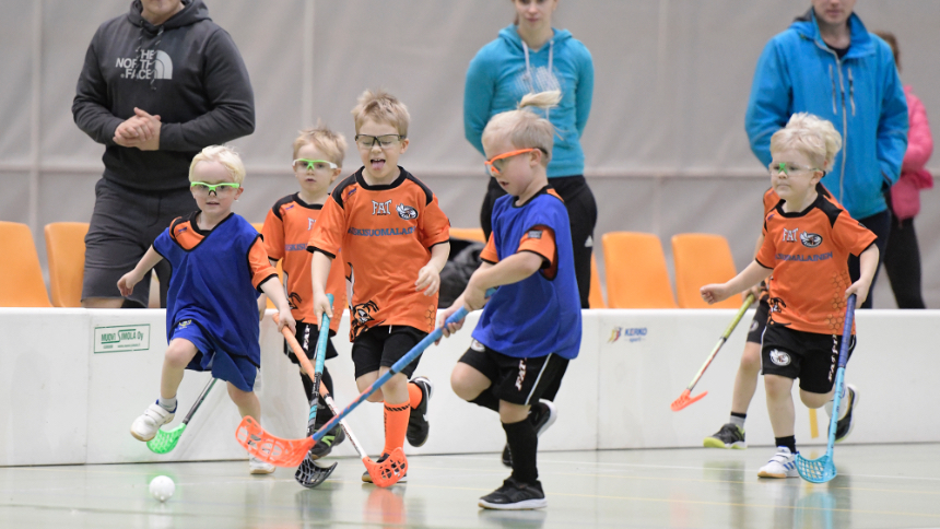 Competiciones ligas infantiles